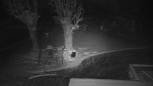 Horský hotel Čarták na Soláni - Pohled na Amfiteatr - 27.3.2026 v 02:55 Horský hotel Čarták na Soláni - Pohled na Amfiteatr - 27.3.2026 v 02:55