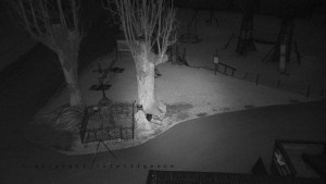 Horský hotel Čarták na Soláni - Pohled na Amfiteatr - 9.4.2026 v 05:30 Horský hotel Čarták na Soláni - Pohled na Amfiteatr - 9.4.2026 v 05:30