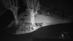 Pohled na Amfiteatr