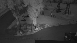 Pohled na Amfiteatr