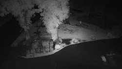 Widok na Amfiteatr