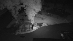 Widok na Amfiteatr