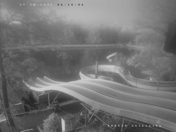 Snímek    31.10.2025 v 06:15