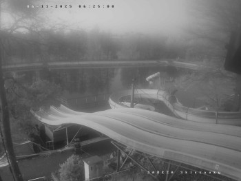 Snímek 6.11.2025 v 06:31