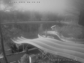 Snímek 7.11.2025 v 06:31