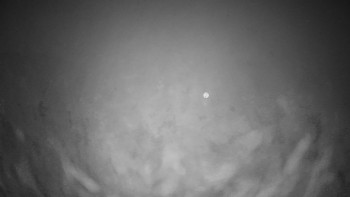 Snímek 5.11.2025 v 05:00