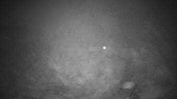 Snímek 9.11.2025 v 05:00