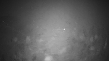 Snímek 9.11.2025 v 17:00