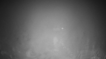 Snímek 13.11.2025 v 18:30