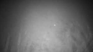 Horské atrakce Ramzová - Horské atrakce Ramzová - 14.11.2025 v 01:15 Horské atrakce Ramzová - Horské atrakce Ramzová - 14.11.2025 v 01:15