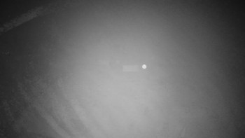 Snímek 15.11.2025 v 00:15