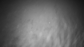 Snímek 16.11.2025 v 00:00