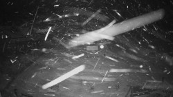 Horské atrakce Ramzová