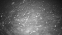 Horské atrakce Ramzová