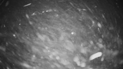 Horské atrakce Ramzová