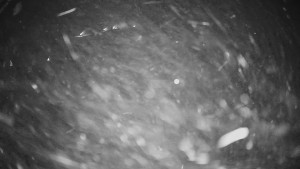 Horské atrakce Ramzová - Horské atrakce Ramzová - 23.11.2025 v 01:00 Horské atrakce Ramzová - Horské atrakce Ramzová - 23.11.2025 v 01:00