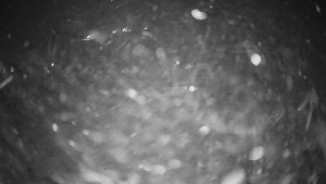 Horské atrakce Ramzová - Horské atrakce Ramzová - 23.11.2025 v 01:15 Horské atrakce Ramzová - Horské atrakce Ramzová - 23.11.2025 v 01:15