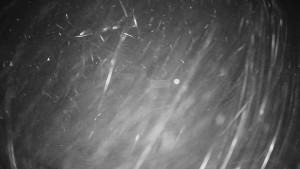 Horské atrakce Ramzová - Horské atrakce Ramzová - 23.11.2025 v 02:15 Horské atrakce Ramzová - Horské atrakce Ramzová - 23.11.2025 v 02:15