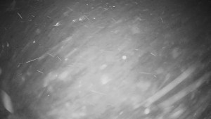 Horské atrakce Ramzová - Horské atrakce Ramzová - 23.11.2025 v 03:15 Horské atrakce Ramzová - Horské atrakce Ramzová - 23.11.2025 v 03:15