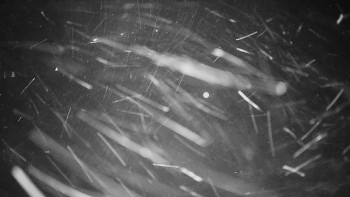 Snímek 23.11.2025 v 06:00