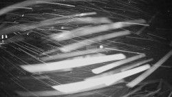 Horské atrakce Ramzová