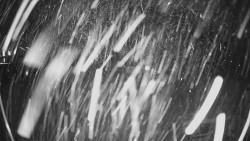 Horské atrakce Ramzová