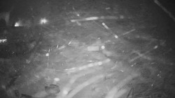 Horské atrakce Ramzová