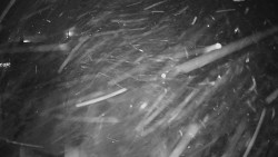 Horské atrakce Ramzová