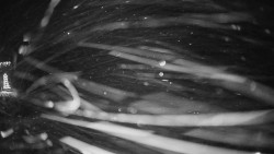 Horské atrakce Ramzová