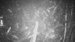 Horské atrakce Ramzová