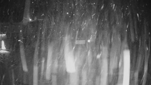 Horské atrakce Ramzová - Horské atrakce Ramzová - 26.12.2025 v 06:30 Horské atrakce Ramzová - Horské atrakce Ramzová - 26.12.2025 v 06:30