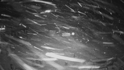 Horské atrakce Ramzová