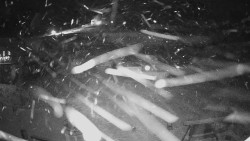 Horské atrakce Ramzová