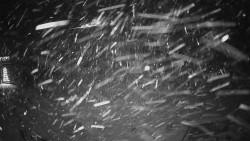 Horské atrakce Ramzová