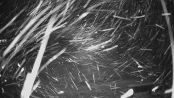 Horské atrakce Ramzová