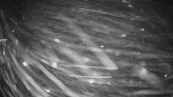 Horské atrakce Ramzová