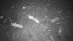 Horské atrakce Ramzová