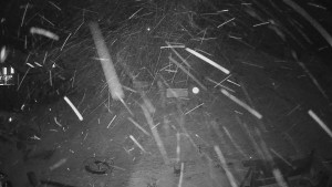 Horské atrakce Ramzová - Horské atrakce Ramzová - 14.2.2026 v 18:30 Horské atrakce Ramzová - Horské atrakce Ramzová - 14.2.2026 v 18:30