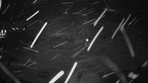 Horské atrakce Ramzová - Horské atrakce Ramzová - 14.2.2026 v 19:00 Horské atrakce Ramzová - Horské atrakce Ramzová - 14.2.2026 v 19:00