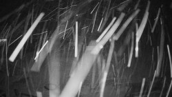 Horské atrakce Ramzová