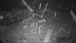 Horské atrakce Ramzová