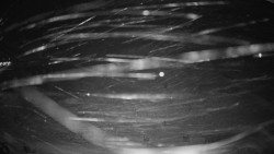 Horské atrakce Ramzová