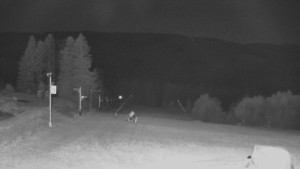 Skiareál Troják - Panorama Vičanov - Tesák - 31.10.2025 v 18:00 Skiareál Troják - Panorama Vičanov - Tesák - 31.10.2025 v 18:00