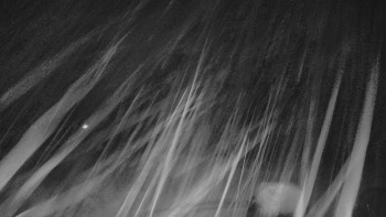 Snímek    3.11.2025 v 03:30