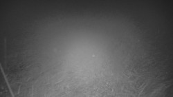 Panorama Vičanov - Tesák