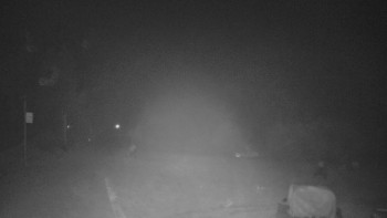 Snímek 14.11.2025 v 17:30