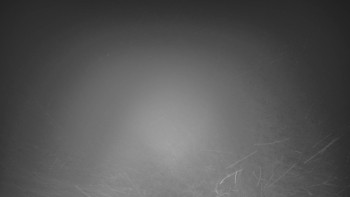 Snímek 17.11.2025 v 02:30