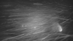 Panorama Vičanov - Tesák