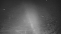 Panorama Vičanov - Tesák