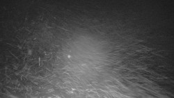 Panorama Vičanov - Tesák